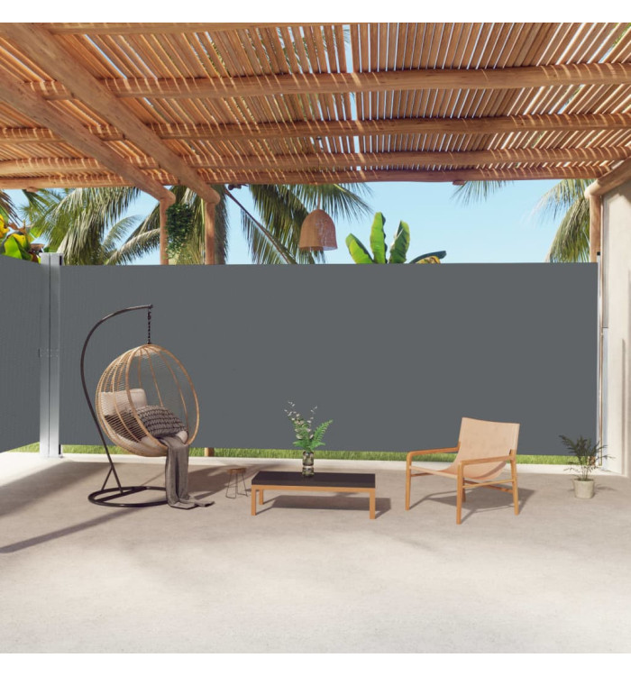 Auvent latéral rétractable Anthracite 220x1000 cm | Mobilier & Déco