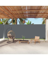 Auvent latéral rétractable Anthracite 220x1000 cm | Mobilier & Déco
