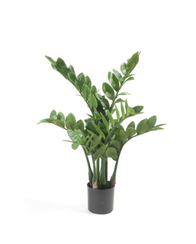 Emerald Zamioculcas artificiel 70 cm | Mobilier & Déco