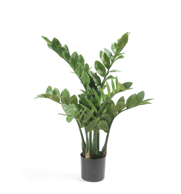 Emerald Zamioculcas artificiel 70 cm | Mobilier & Déco