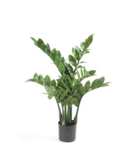 Emerald Zamioculcas artificiel 70 cm | Mobilier & Déco