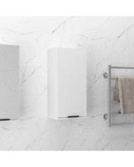 Armoire de salle de bain murale Blanc 32x20x67 cm | Mobilier & Déco