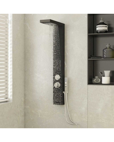 Système de panneau de douche Aluminium Noir | Mobilier & Déco