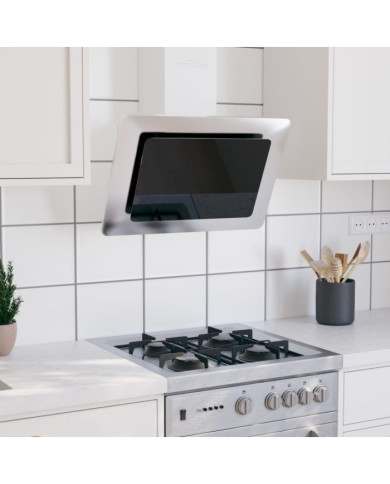 Hotte murale 60 cm Acier inoxydable et verre trempé Argenté | Mobilier & Déco