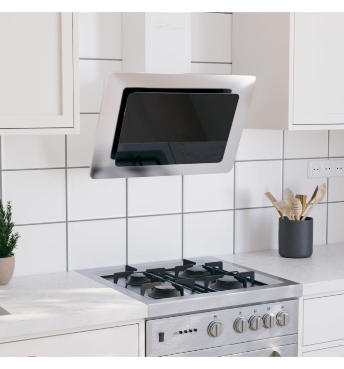 Hotte murale 60 cm Acier inoxydable et verre trempé Argenté | Mobilier & Déco