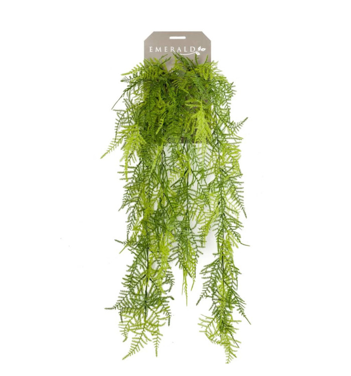 Emerald Asperges Plumosus artificielle 80 cm | Mobilier & Déco