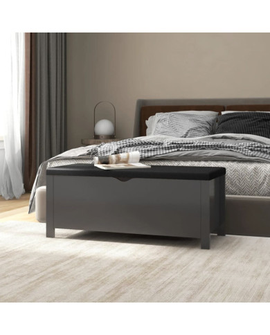 Boîte de rangement et coussin Gris 105x40x45 cm Bois ingénierie | Mobilier & Déco
