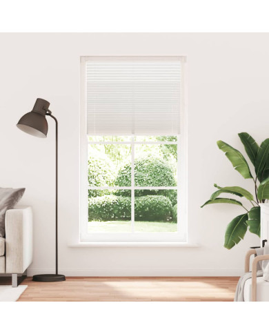 Store plissé 100x200 cm Blanc | Mobilier & Déco