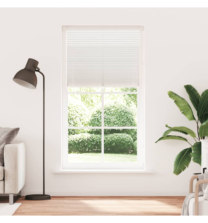 Store plissé 100x200 cm Blanc | Mobilier & Déco