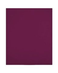 Draps-housses Jersey 2 pcs Bordeaux 90x200 cm Coton | Mobilier & Déco