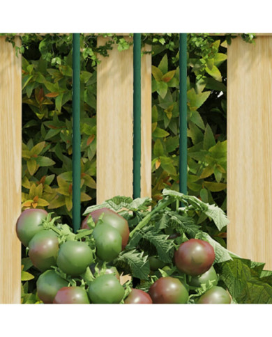Piquets pour plantes de jardin 30 pcs vert 60 cm acier | Mobilier & Déco
