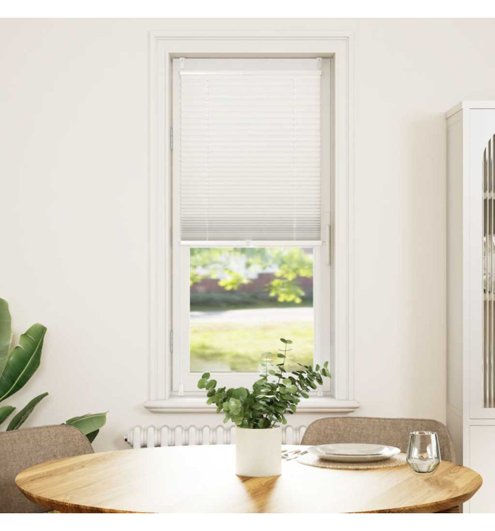 Store plissé 50x100 cm Blanc | Mobilier & Déco