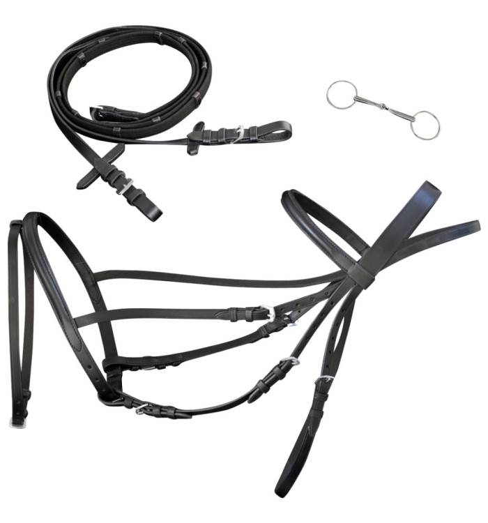 Bride Flash en cuir avec rênes et embout poney Noir | Mobilier & Déco