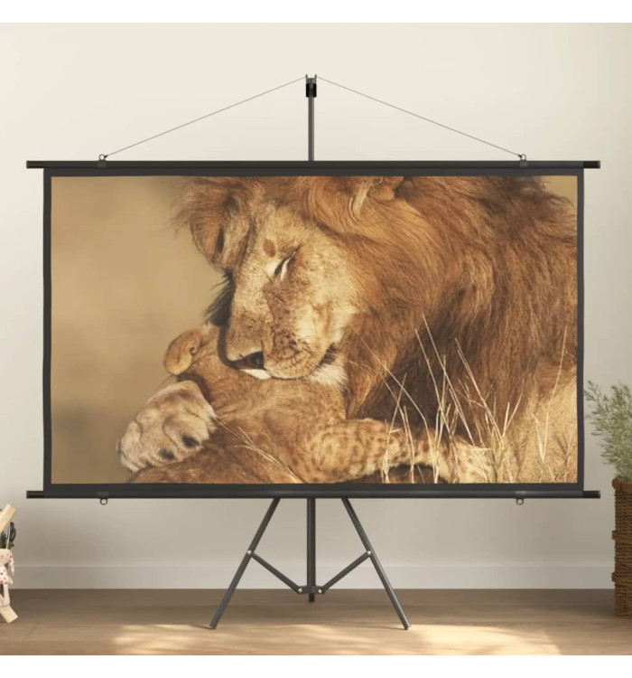 Écran de projection 84" 16:9 | Mobilier & Déco