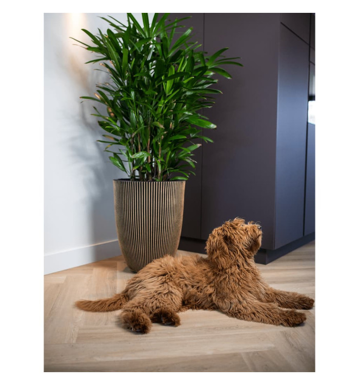 Capi Vase élégant Groove 34x46 cm Noir et doré | Mobilier & Déco