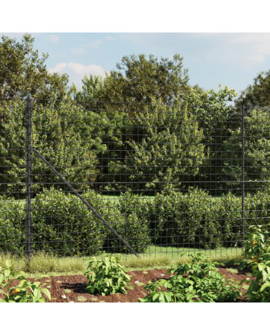 Clôture en treillis métallique et ancrage anthracite 2,2x10 m | Mobilier & Déco