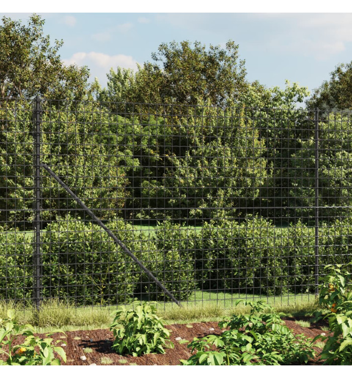 Clôture en treillis métallique et ancrage anthracite 2,2x10 m | Mobilier & Déco