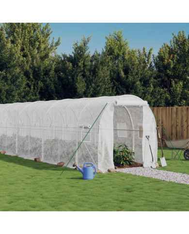 Serre avec cadre en acier blanc 48 m² 24x2x2 m | Mobilier & Déco