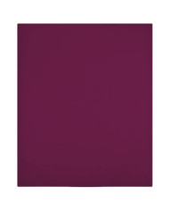Draps-housses Jersey 2 pcs Bordeaux 100x200 cm Coton | Mobilier & Déco