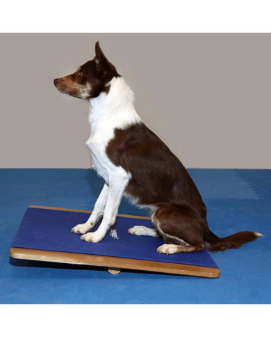FitPAWS Planche à bascule grande 75x75 cm Bleu | Mobilier & Déco