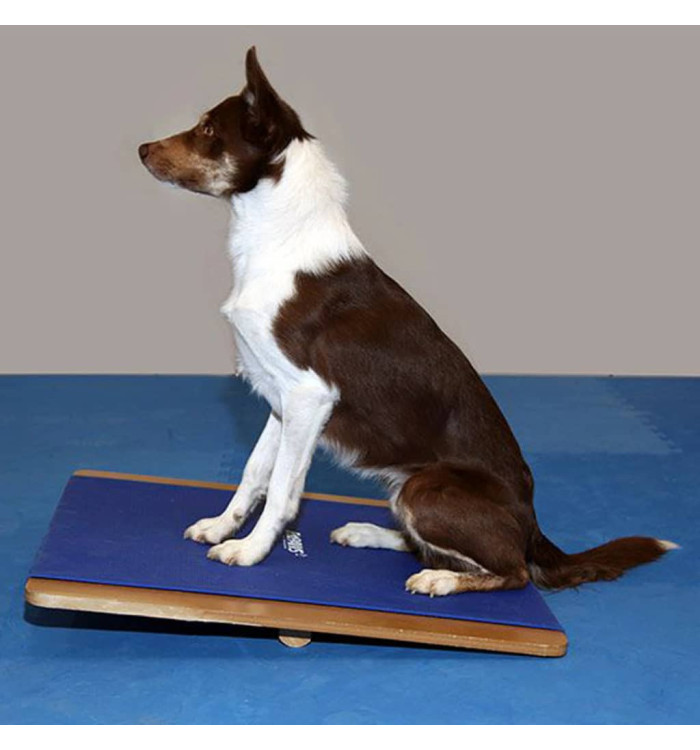 FitPAWS Planche à bascule grande 75x75 cm Bleu | Mobilier & Déco