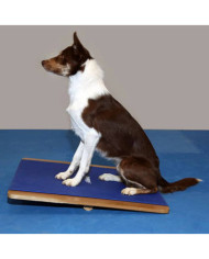 FitPAWS Planche à bascule grande 75x75 cm Bleu | Mobilier & Déco