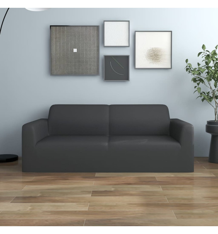 Housse extensible canapé 2places Anthracite Jersey de polyester | Mobilier & Déco