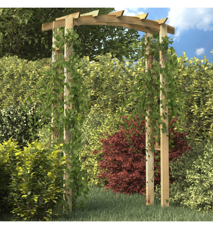 Voûte en treillis 150x60x210 cm Bois | Mobilier & Déco