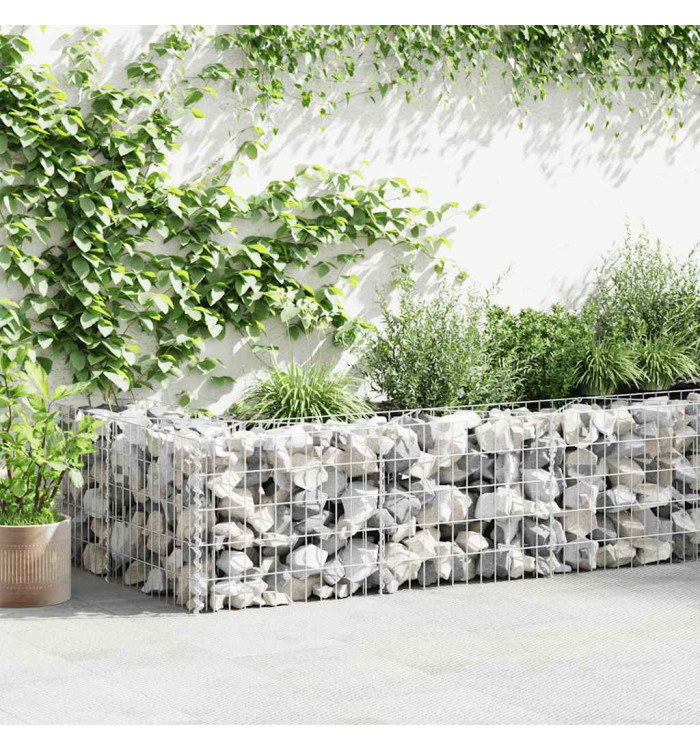 Mur de gabion Acier galvanisé 630x30x50 cm | Mobilier & Déco
