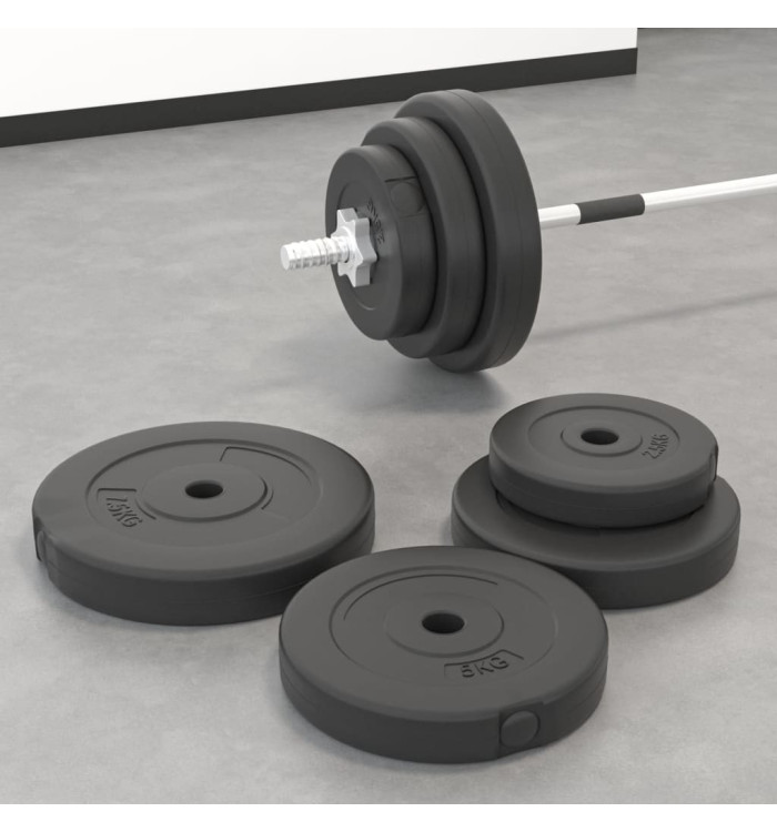 Plaques de poids 6 pcs 30 kg Béton | Mobilier & Déco
