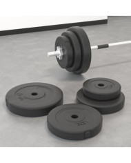Plaques de poids 6 pcs 30 kg Béton | Mobilier & Déco
