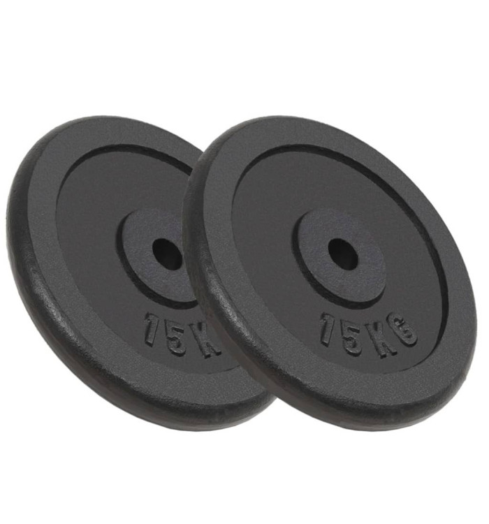 Plaque de poids 2 pcs 2x15 kg Fonte | Mobilier & Déco