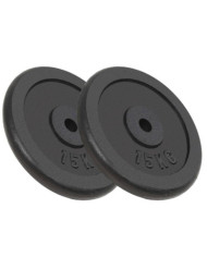 Plaque de poids 2 pcs 2x15 kg Fonte | Mobilier & Déco