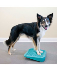 FitPAWS Rampe d'équilibre pour animaux de compagnie 35x35x7 cm Bleu | Mobilier & Déco