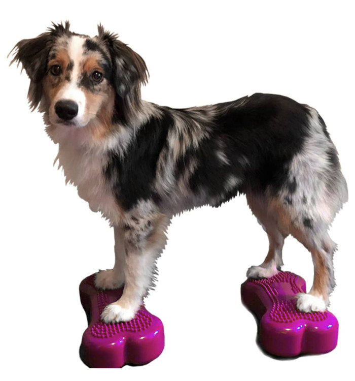 FitPAWS Plate-forme d'équilibre pour animaux de compagnie 2 pcs | Mobilier & Déco