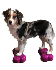 FitPAWS Plate-forme d'équilibre pour animaux de compagnie 2 pcs | Mobilier & Déco