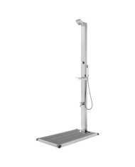 Douche de jardin avec base gris 225 cm Acier inoxydable | Mobilier & Déco