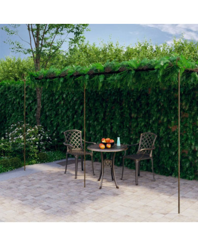 Pergola de jardin Marron antique 6x3x2,5 m Fer | Mobilier & Déco