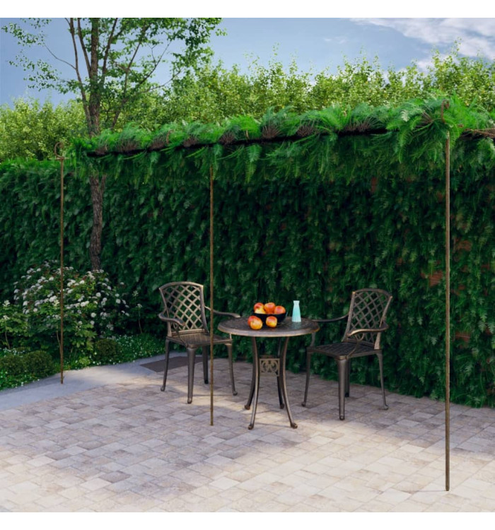 Pergola de jardin Marron antique 6x3x2,5 m Fer | Mobilier & Déco