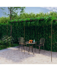 Pergola de jardin Marron antique 6x3x2,5 m Fer | Mobilier & Déco