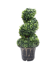 Plante de buis artificiel en spirale avec pot Vert 59 cm | Mobilier & Déco
