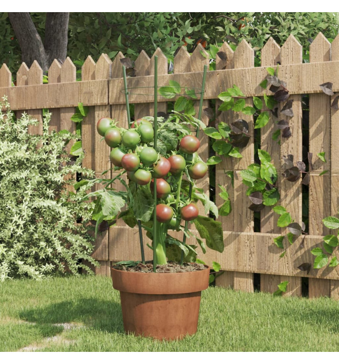 Supports pour plantes de jardin 3 anneaux 5pcs Vert 45 cm Acier | Mobilier & Déco