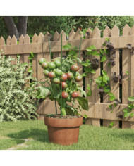Supports pour plantes de jardin 3 anneaux 5pcs Vert 45 cm Acier | Mobilier & Déco