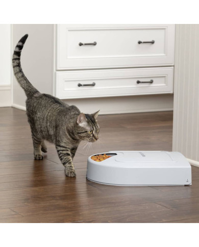 PetSafe Mangeoire animaux de compagnie 5 repas Eatwell minuterie Gris | Mobilier & Déco