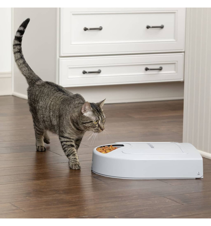 PetSafe Mangeoire animaux de compagnie 5 repas Eatwell minuterie Gris | Mobilier & Déco
