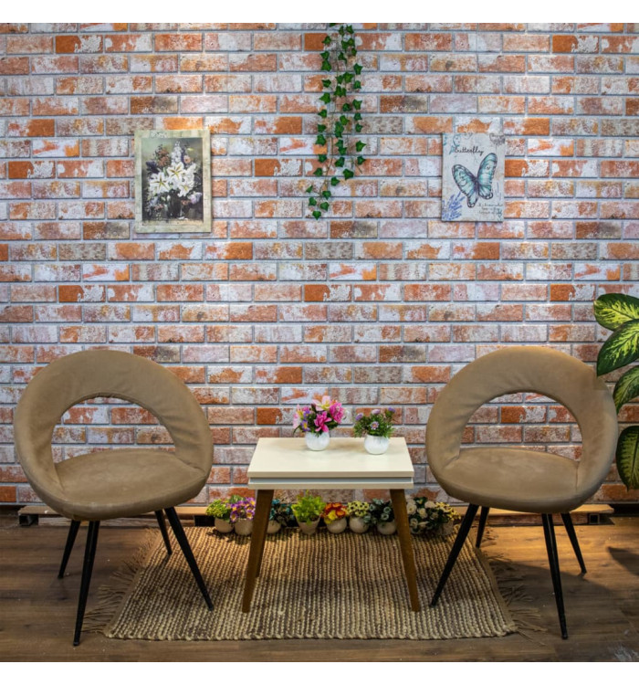 Panneaux muraux 3D avec design de brique rouge 10 pcs EPS | Mobilier & Déco