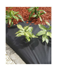 Nature Bâche de sol contrôle des mauvaises herbes 120 g/m² 1x10m noir | Mobilier & Déco
