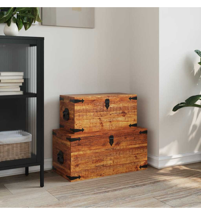 Coffre de rangement 2 pcs Bois de manguier brut | Mobilier & Déco