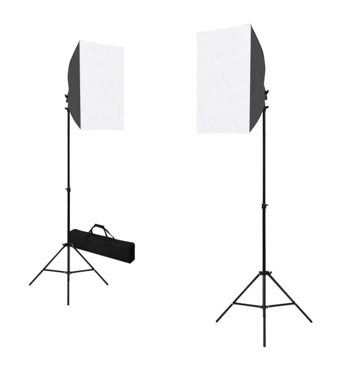 Lampes de studio professionnelles 2 pcs 40x60 cm Acier Noir | Mobilier & Déco