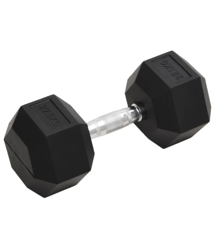 Haltère 22,5 kg Fonte | Mobilier & Déco